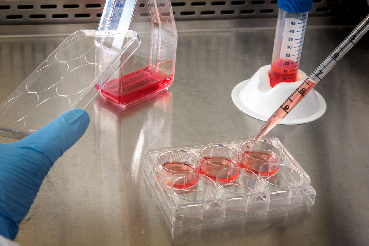 La recherche collaborative et le contrôle qualité favorisent le développement et la fabrication de thérapies cellulaires et géniques