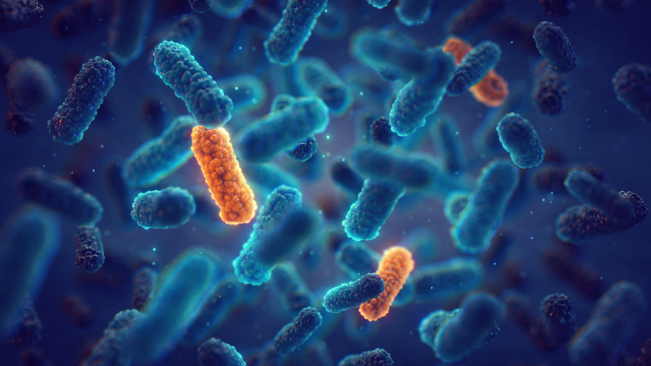 Améliorer le bon usage des antibiotiques grâce aux antibiogrammes